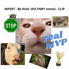 INFEKT - Be Kind (EVLTNRY remix) - CLIP