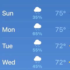 Rain