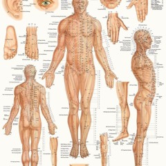 EBOOK READ Acupressure Poster (22 x 28 inches) - Laminated: Anatomy of Points for Acu