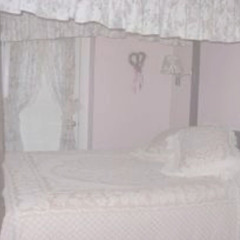 in the arms of flowers — ruby throat sped