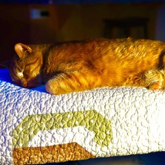 “Where’s Benny “