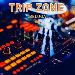 Trip Zone