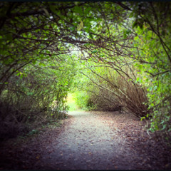 A Path a for Sundays (Original)