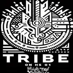 Embrillon (TRIBE ON HS 01) MTC Records