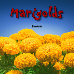 Marigolds