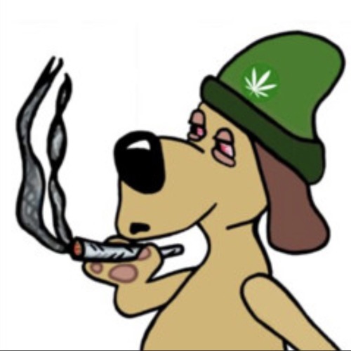 NoHook (prod.fendluv)