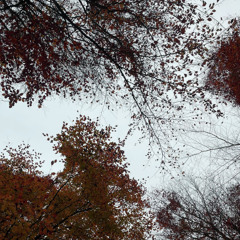 i dont want to be separated or divided by anything. i dont want constraints. and i definitely dont want to open the pipes again. im done with that stuff