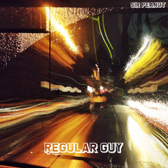 Regular Guy