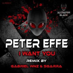 02 Peter Effe - I Want You (SGARRA  Gabriel Wnz Remix)