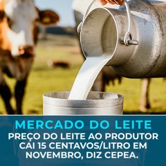 Preço do LEITE ao produtor cai 15 centavos/litro em novembro, diz CEPEA.
