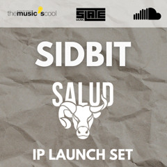 SIDBIT - SALUD X TMS (Heartbeat) | Melodic | Progressive | House