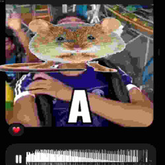 TERRIFYING mouse :c