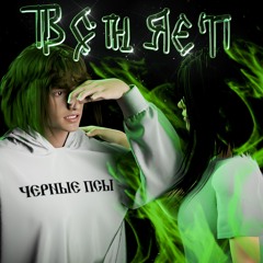 ВОНЯЕТ