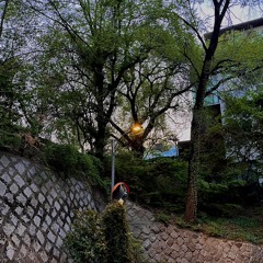 단짝(최유리)cover