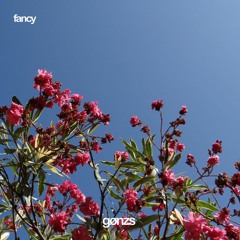 Fancy
