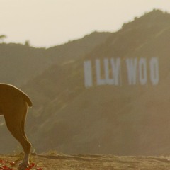 Rising Tides in a Water Fall - 8:16:22, 12.20 PM