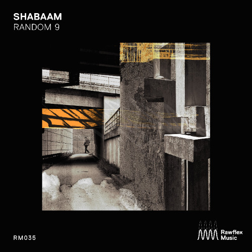 DT:Premiere | Shabaam - Pavilon [Rawflex Music]