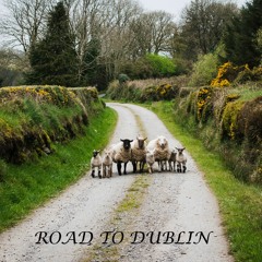 ROAD to DUBLIN