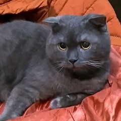 是你 Là Anh Remix Shi Ni (It's You) - 梦然 Mộng Nhiên ( Dj QT Remix )