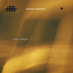 strangers (baudéga flip)