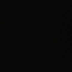 True to This Shi -khu$h osxmaa kush osama (dexhenry)