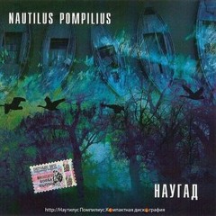 Чёрные птицы