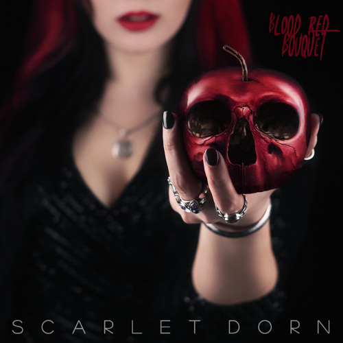 Are You Watching Me by Scarlet Dorn