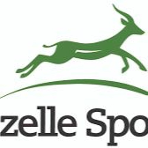 Gazelle Sports on WWJ-AM with Brooke Allen