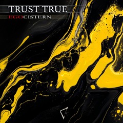 Premiere: Trust True - Introversion Hursh [CY4NEP001]
