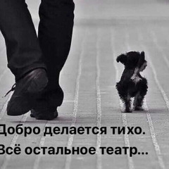 Наговицын Сергей - Выборы