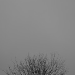 Side by Side Into the Void