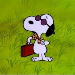 new prada bag