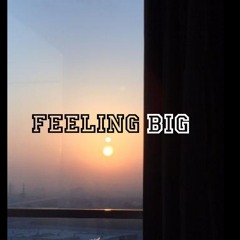 Feeling Big feat KD Steppa