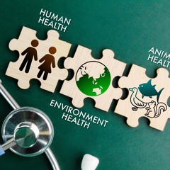 Implementing One Health through Global Health diplomacy: Comparing Switzerland and Rwanda