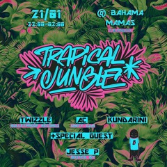 Trapical Jungle Promo Mix