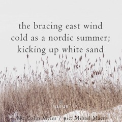 Cold Nordic Summer [NaviarHaiku457]
