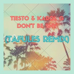 Tiesto & Karol G - Don't Be Shy (Tafules Remix)