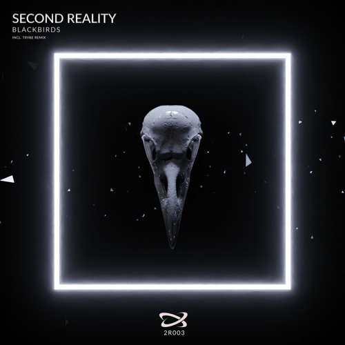 Second Reality - Blackbirds ( Trybe Remix Teaser )