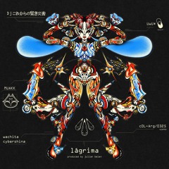 DJ これからの緊急災害 - TRA [Muakk]