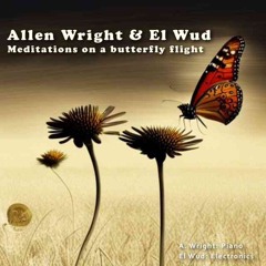 Meditations on a butterfly flight (with El Wud)