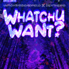 Whatchu Want (feat. DevTheKid)