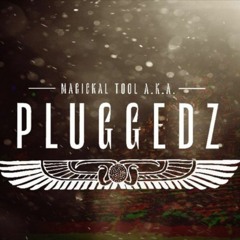 Pluggedz - Skydiving