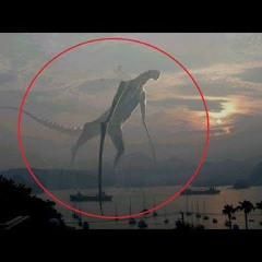 lam3 nxgga b3tta hush