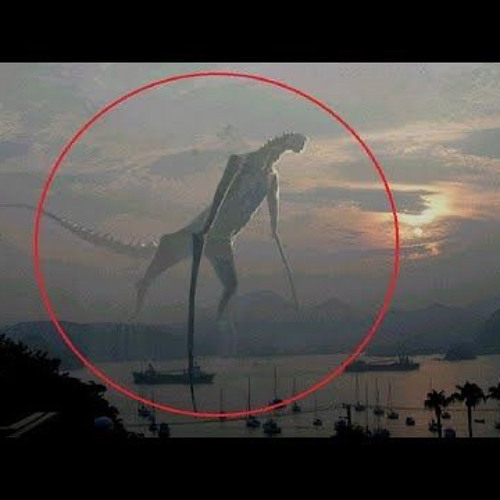 lam3 nxgga b3tta hush