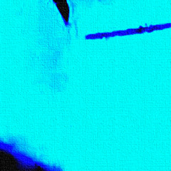 12-28-2024 2 (bittersweet)