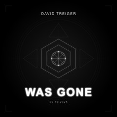 WAS GONE - (David Treiger Original Mix)
