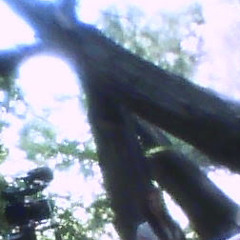 ‎tKe this pcp with me