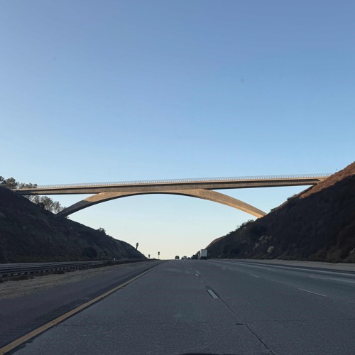 A_time_for_everything.🌹🌱🌺 Whispers of Grace