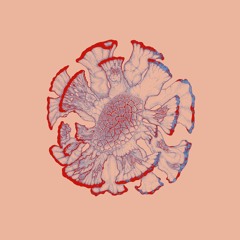 Sasha Daniel - "Pollen" (Remix DOV)