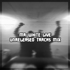 Mr White @ Private Party (Unreleased Tracks Mix)